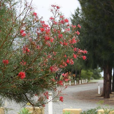 The Heights Bed & Breakfast Bed & Breakfast Jurien Bay Ngoại thất bức ảnh